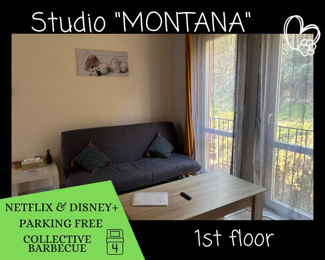 L'Arizona Dinant - Studio Montana - Barbecue, Free Parking, Dog Ok Exterior photo